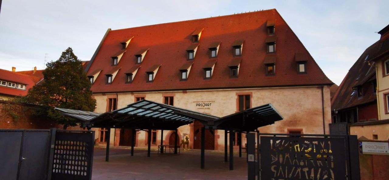 Le Rhenanus Ludwig Dringenberg - Appartement Au Calme - Centre Ville - Parking Gratuit Sélestat Exterior foto